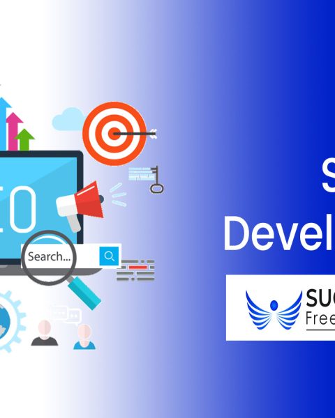 SEO-Development-By-Success-Life-IT.jpg